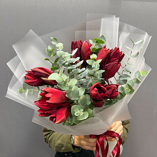 Букет из 5 красных амариллисов с эвкалиптом 