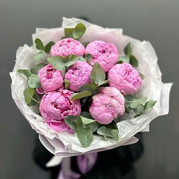 Монобукет из 7 пионов Сара Бернар Чили 