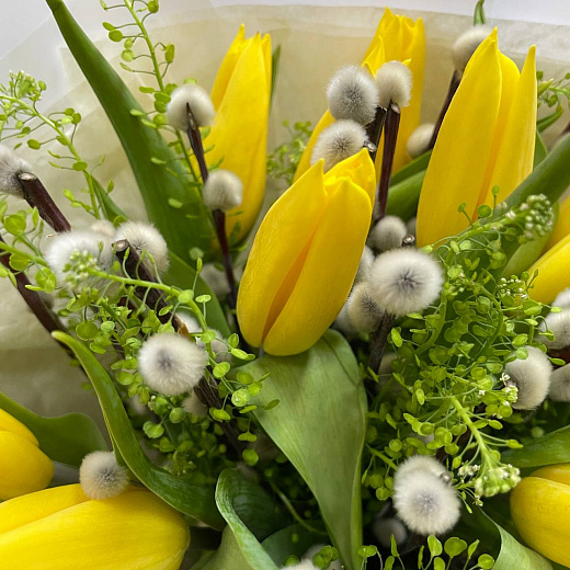 Букет из 15 желтых тюльпанов, вербы и тласпи в матовой плёнке с доставкой в Москве