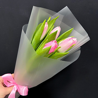Букет из 5 бело-розовых тюльпанов в матовой пленке