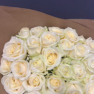 Белые розы в букете, 25 штук   в крафте (50 см)