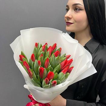 Букет из 25 красных  тюльпанов в белой пленке
