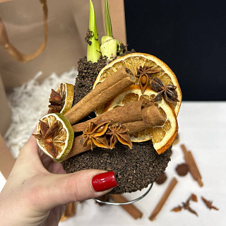 Луковица амариллиса в воске ( с декором из корицы, коричневая)