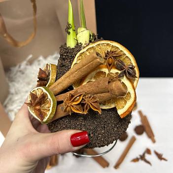 Луковица амариллиса в воске ( с декором из корицы, коричневая)