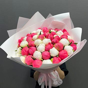 Микс из 51 белого и кораллового пиона