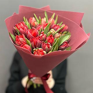 Букет из 25 красных пионовидных тюльпанов в  вишневой упаковке