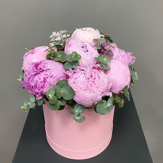 Букет из 9 розовых пионов с эвкалиптом в шляпной коробке