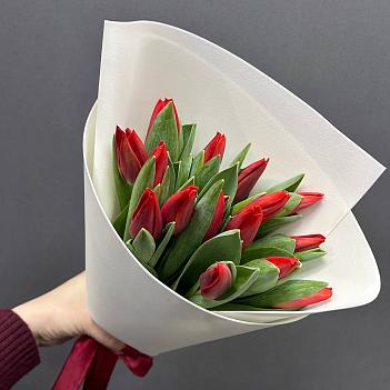 Букет из 15 красных  тюльпанов в белом фоамиране