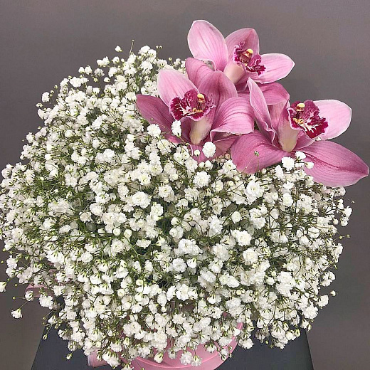 Букет из белой гипсофилы и розовых орхидей в шляпной коробке