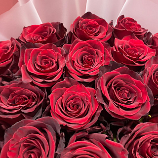 Букет из 25 красных Эквадорских роз ( 60 см)