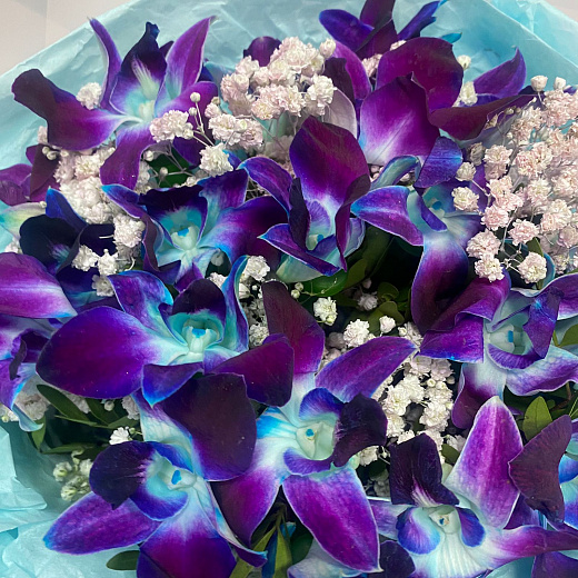 Букет из синих орхидей и гипсофилы