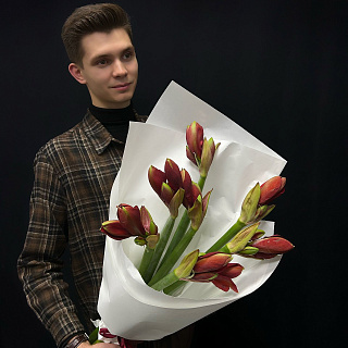 Букет из 7 красных амариллисов в белом крафте