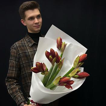 Букет из 7 красных амариллисов в белом крафте Букет из 7 красных амариллисов в белом крафте