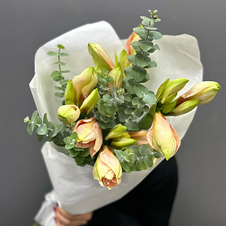 Монобукет из 5 персиковых амариллисов в белом крафте 