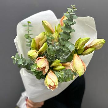 Монобукет из 5 персиковых амариллисов в белом крафте 