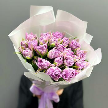 Букет из 21 пионовидного тюльпана Дабл Прайс в белой пленке