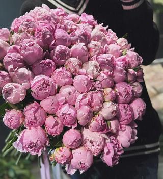 Букет из 75 пионов Сара Бернар под ленту Букет из 75 пионов Сара Бернар под ленту