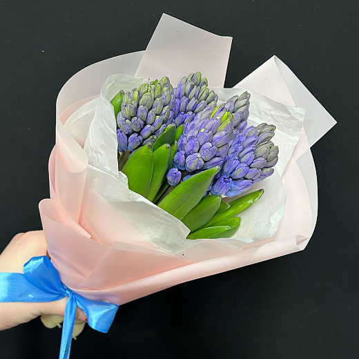 Букет из 5 синих гиацинтов с доставкой в Москве