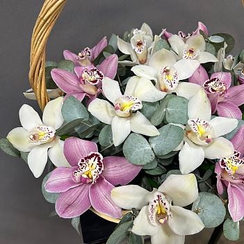 Микс из 19 орхидей в корзине