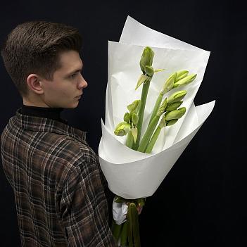 Букет из 5 белых амариллисов в белом крафте Букет из 5 белых амариллисов в белом крафте