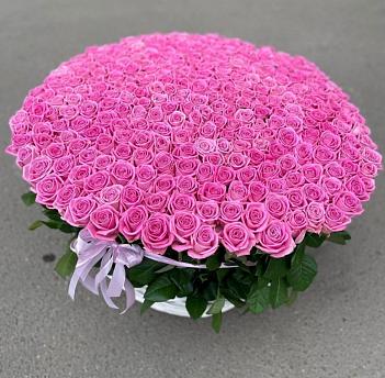 Корзина с 301 розовой розой