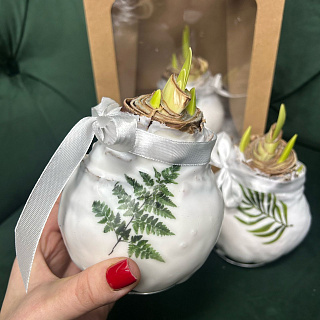 Луковица амариллиса в воске ( белая с декором)