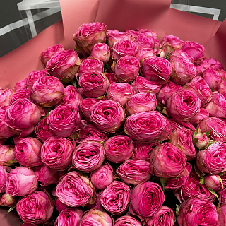 Букет из 29 кустовых пионовидных роз Гизелль  (70 см)