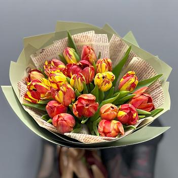 Букет из 19 красно-желтых  тюльпанов