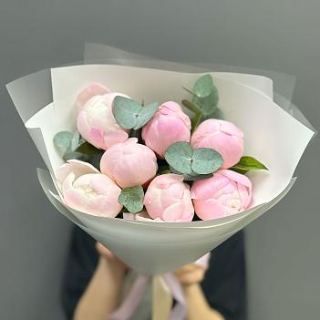 Букет из 7 нежно-розовых пионов Гардения