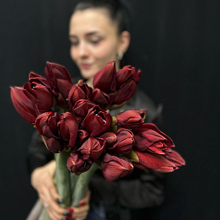 Монобукет из 9 красных амариллисов под ленту  Монобукет из 9 красных амариллисов под ленту