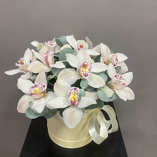 Букет из белых орхидей и эвкалипта в коробке