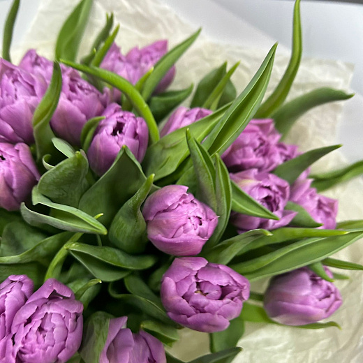 Букет из 19 пионовидных тюльпанов Дабл прайс в белой упаковке
