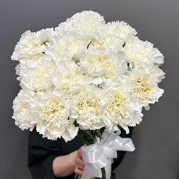 19 белых гвоздик под ленту