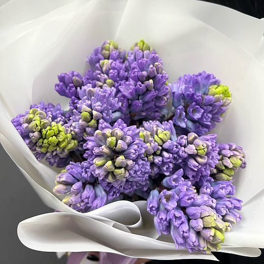 Букет из 15 сиреневых гиацинтов по лучшей цене в Москве Букет из 15 сиреневых гиацинтов с доставкой в Москве