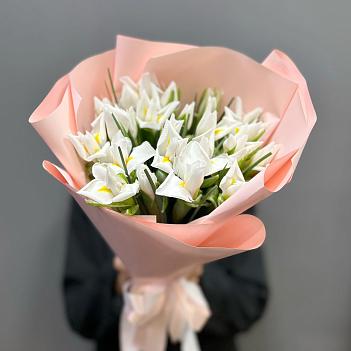 Букет из 25 белых ирисов
