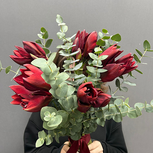 Букет из 5 красных амариллисов с эвкалиптом под ленту с доставкой в Москве