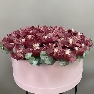 Букет из бордовых орхидей в розовой коробке