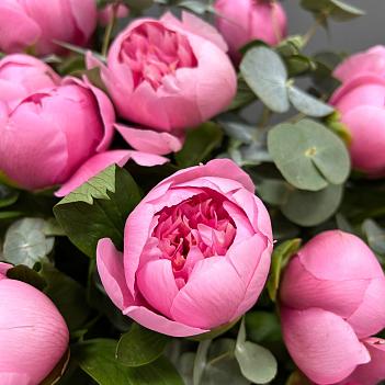 Букет из 21 лососевого пиона и эвкалипта под ленту Букет из 21 лососевого пиона и эвкалипта под ленту