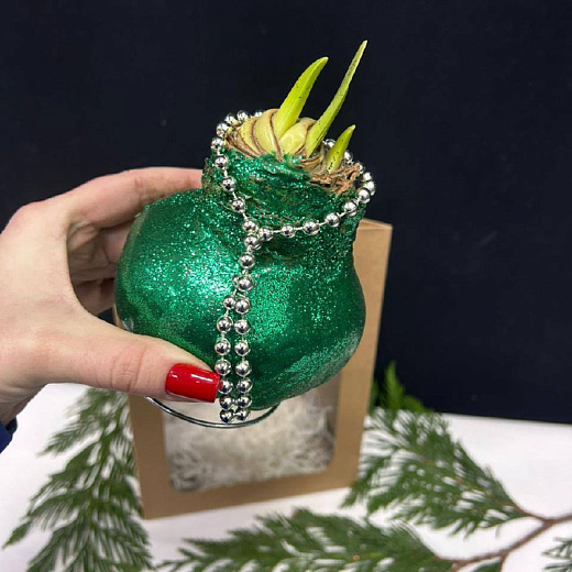 Луковица амариллиса в воске (зеленые блетски)+крафтовый пакет с доставкой в Москве