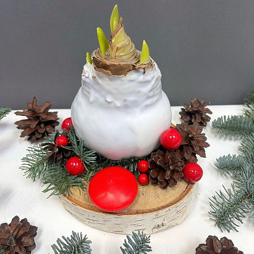 Луковица амариллиса в воске ( белая, с Новогодним декором / сруб дерева)  с доставкой в Москве