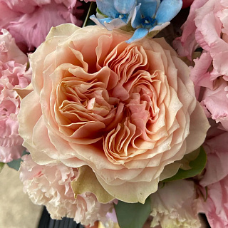 Букет на портбукетнице из пионовидных роз, розовой махровой эустомы и оксипеталума