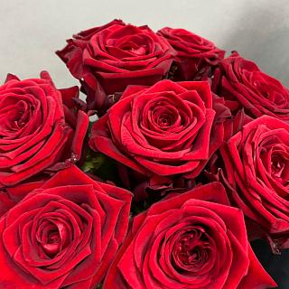 Букет из 9 красных роз под ленту