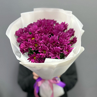 Букет из 5 фиолетовых хризантем