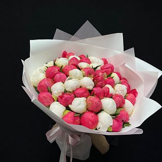 Микс из 51 белого и кораллового пиона