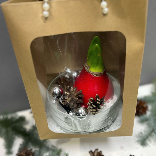 Луковица амариллиса в воске-подарочный набор в прозрачной вазе с доставкой в Москве