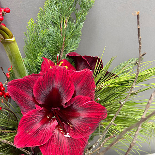 Интерьерная композиция с амариллисами в стеклянной вазе