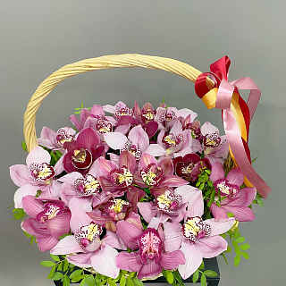 Букет из  25 розовых орхидей в корзине