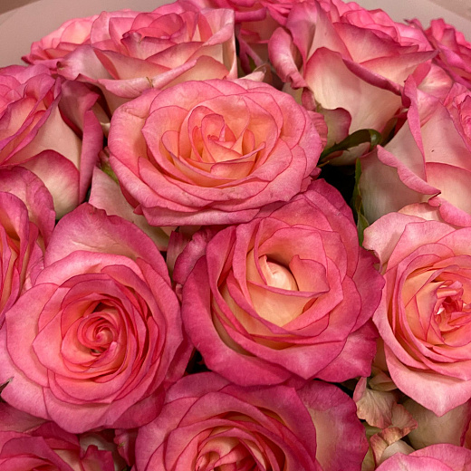 Букет из 19 роз Джумилия ( 40 см)