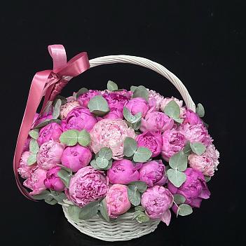 Букет из 51 розового пиона в корзине
