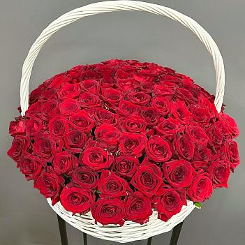 Корзина из 101 красной розы Ред Наоми